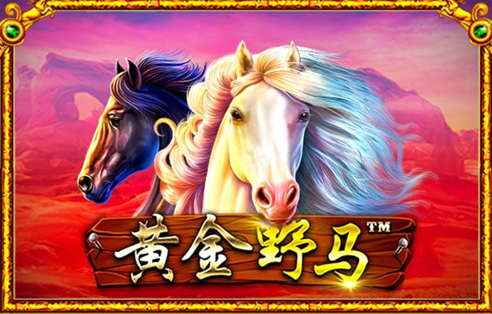 亚洲必赢